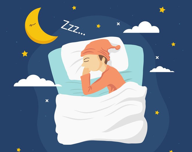 Không loài động vật nào có thể sống mà không cần ngủ, vậy vai trò của giấc ngủ là gì? - Ảnh 1.