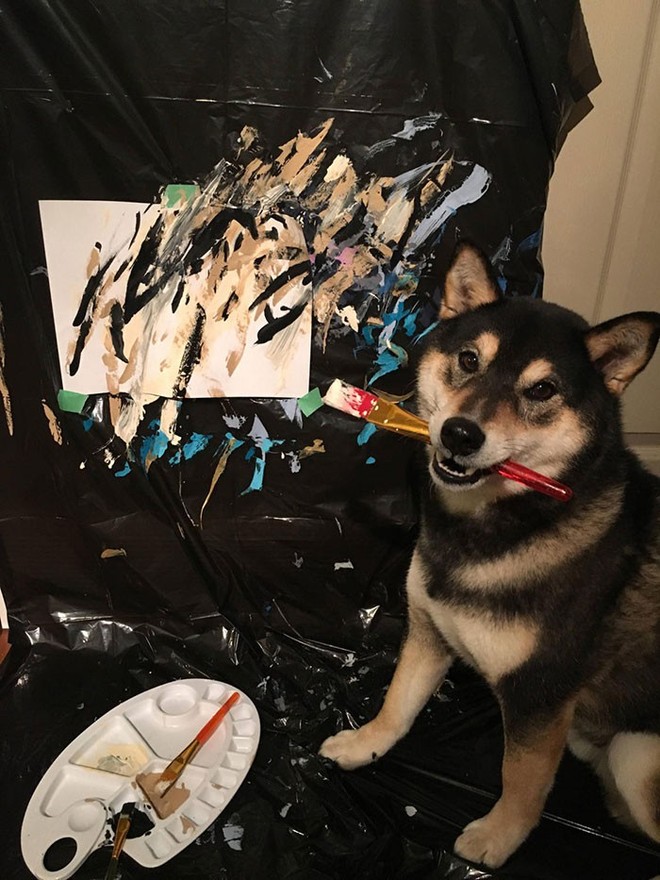 Chú chó shiba giúp chủ kiếm hơn 116 triệu đồng nhờ tài vẽ tranh trừu tượng - Ảnh 2.