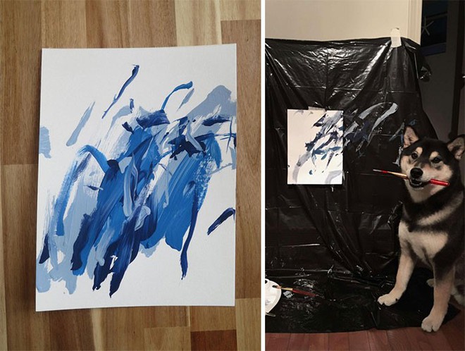 Chú chó shiba giúp chủ kiếm hơn 116 triệu đồng nhờ tài vẽ tranh trừu tượng - Ảnh 8.