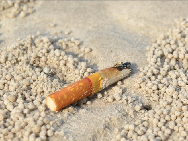 Hơn 60 triệu đầu lọc thuốc lá trong đại dương có thể đã giải phóng asen, chì và nicotin vào thực phẩm bạn ăn - Ảnh 1.