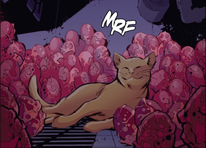 Sự thật kinh dị về con mèo rõ đáng yêu được Nick Fury vuốt ve trong Captain Marvel - Ảnh 7.
