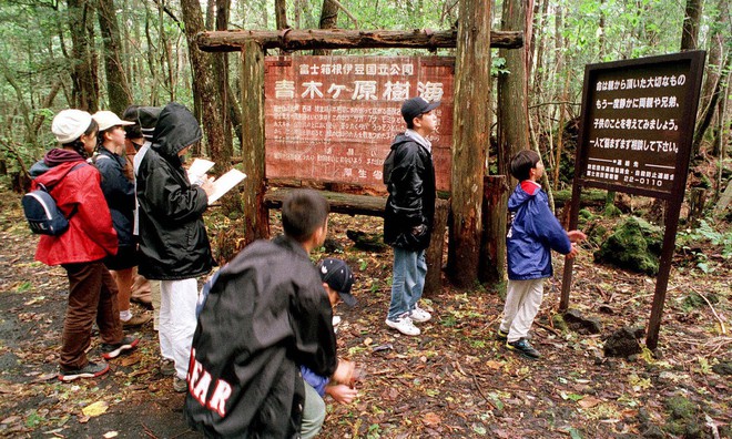  Khu rừng Aokigahara nổi tiếng với hàng loạt vụ tự tử tại Nhật Bản. 