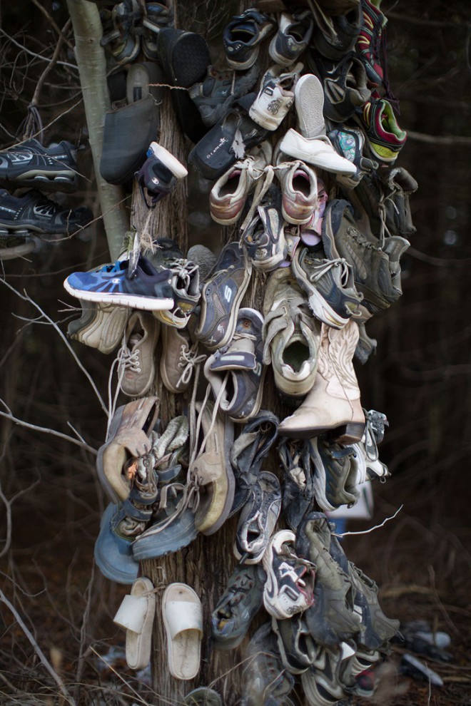 Khu rừng bí ẩn ở Canada: Hàng trăm đôi sneakers bị đóng đinh lên cây, không ai biết lý do vì sao - Ảnh 28.