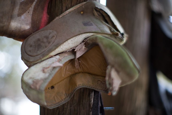 Khu rừng bí ẩn ở Canada: Hàng trăm đôi sneakers bị đóng đinh lên cây, không ai biết lý do vì sao - Ảnh 9.