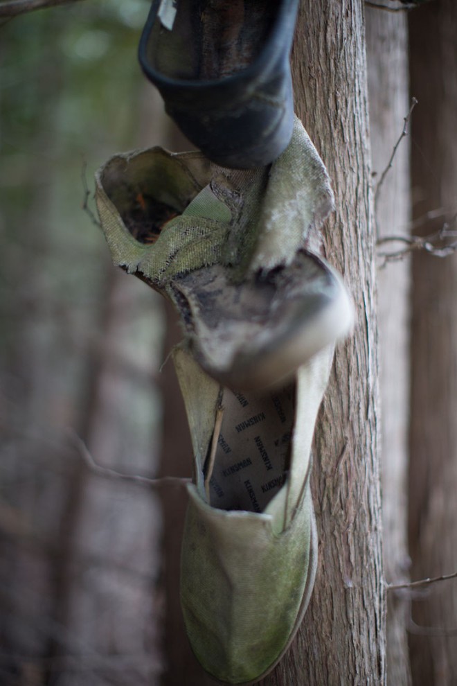 Khu rừng bí ẩn ở Canada: Hàng trăm đôi sneakers bị đóng đinh lên cây, không ai biết lý do vì sao - Ảnh 25.