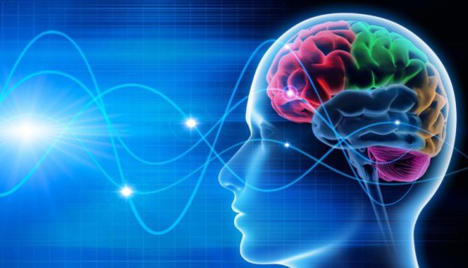 Vân não thay cho vân tay: sóng não có tiềm năng trở thành phương thức bảo mật mới cho thiết bị tương lai - Ảnh 2.