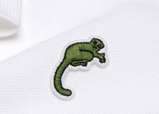 Lacoste thay thế logo cá sấu trên áo polo bằng 10 loài động vật có nguy cơ tuyệt chủng - Ảnh 6.