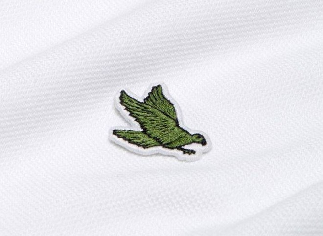 Lacoste thay thế logo cá sấu trên áo polo bằng 10 loài động vật có nguy cơ tuyệt chủng - Ảnh 8.