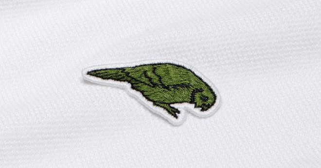 Lacoste thay thế logo cá sấu trên áo polo bằng 10 loài động vật có nguy cơ tuyệt chủng - Ảnh 9.