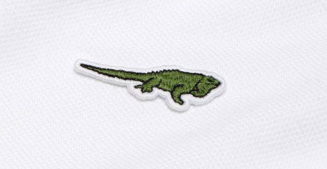 Lacoste thay thế logo cá sấu trên áo polo bằng 10 loài động vật có nguy cơ tuyệt chủng - Ảnh 11.