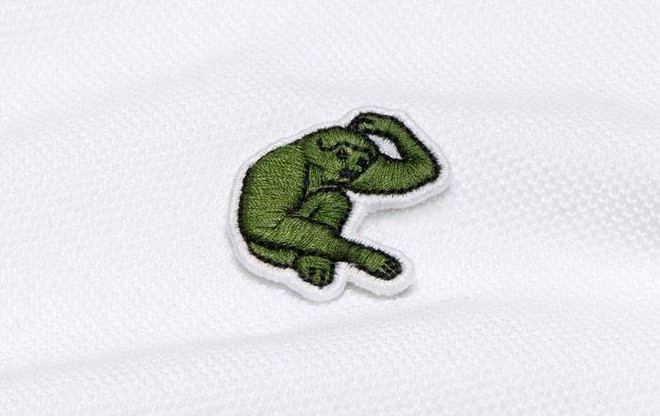 Lacoste thay thế logo cá sấu trên áo polo bằng 10 loài động vật có nguy cơ tuyệt chủng - Ảnh 5.