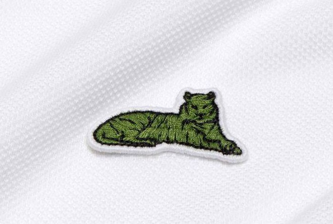 Lacoste thay thế logo cá sấu trên áo polo bằng 10 loài động vật có nguy cơ tuyệt chủng - Ảnh 13.