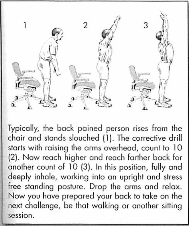 Hướng dẫn đứng và ngồi đúng cách, giúp dân văn phòng giảm nguy cơ đau mỏi cột sống - Ảnh 6.