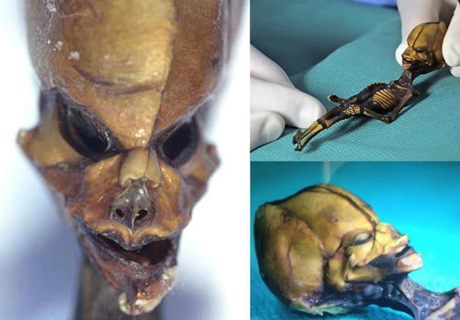 Sự thật về xác ướp người ngoài hành tinh 20 năm về trước ở Chile - Ảnh 3.