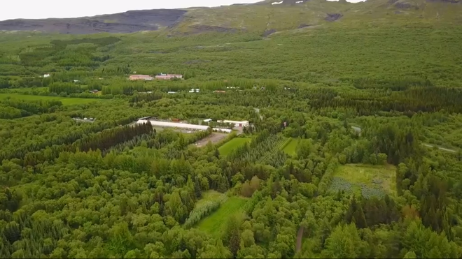 Lần đầu tiên trong vòng 1.000 năm qua, Iceland trồng thêm các cánh rừng mới - Ảnh 4.
