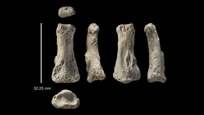Một mẫu xương ngón tay 88.000 năm tuổi có thể khiến lịch sử loài người phải viết lại - Ảnh 1.