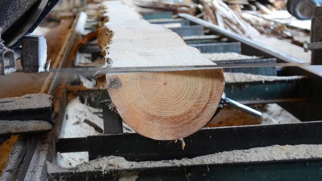 Phát hiện mùn cưa, phôi gỗ, vỏ bào,… có thể giúp kết dính bê tông chắc và chống thấm tốt hơn - Ảnh 2.