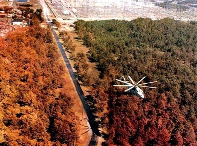 Chernobyl là thảm họa của con người, nhưng lại là tin vui với động vật hoang dã trong khu vực này - Ảnh 3.