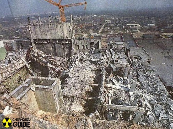 Chernobyl là thảm họa của con người, nhưng lại là tin vui với động vật hoang dã trong khu vực này - Ảnh 1.