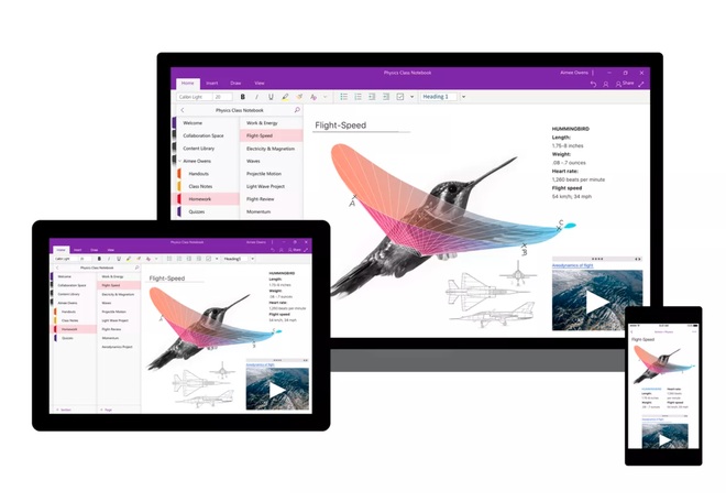 Microsoft Office 2019 sẽ ra mắt vào cuối năm nay, ngưng hỗ trợ ứng dụng OneNote cho desktop - Ảnh 1.