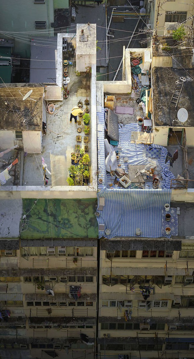 [Ảnh] Concrete stories: Cuộc sống muôn màu trên những tầng thượng của Hồng Kông - Ảnh 2.