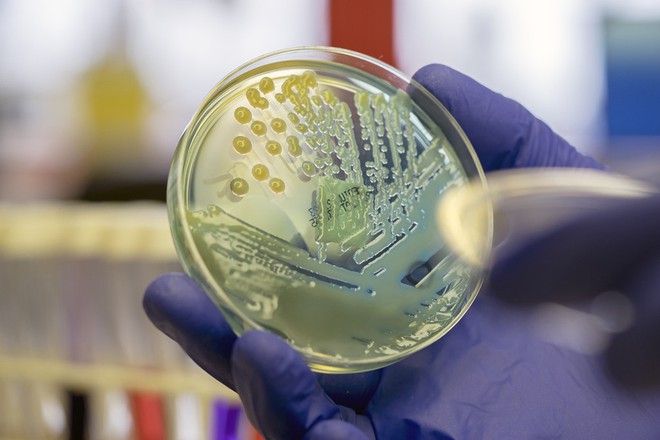  Báo cáo mới nhất về tình hình kháng kháng sinh tại Mỹ: Siêu vi khuẩn lây lan ngoài sức tưởng tượng 