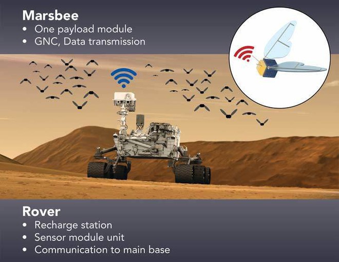 NASA bí mật phát triển robot giống loài ong để khám phá Sao Hỏa - Ảnh 1.