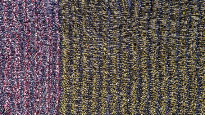 Hãi hùng ngắm nhìn mồ chôn tập thể của hàng triệu chiếc xe đạp tại Trung Quốc - Ảnh 9.