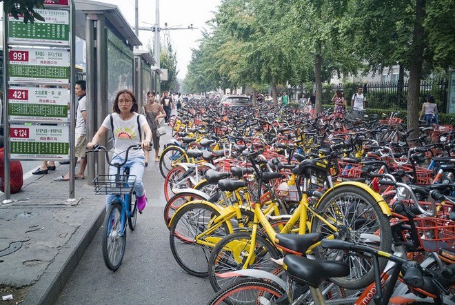 Hãi hùng ngắm nhìn mồ chôn tập thể của hàng triệu chiếc xe đạp tại Trung Quốc - Ảnh 18.