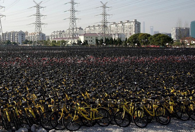 Hãi hùng ngắm nhìn mồ chôn tập thể của hàng triệu chiếc xe đạp tại Trung Quốc - Ảnh 8.
