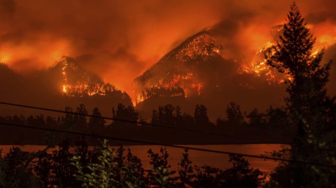 Nghịch pháo hoa gây cháy rừng nghiêm trọng, thanh niên Mỹ bị phạt 36 triệu USD - Ảnh 1.