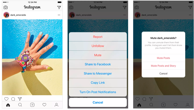 Instagram ra mắt tính năng Mute, cho phép chặn bài đăng của bạn bè không xuất hiện trên feed - Ảnh 2.