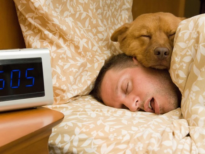  Ngủ nướng vào cuối tuần có thể mang tính chất bù lại những ngày thiếu ngủ khi phải làm việc? 