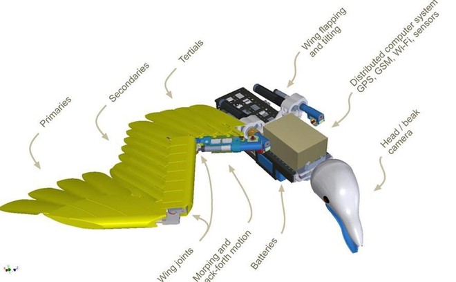 Silent Flyer: Drone trông giống chim, bay lượn như chim, giá bán từ 1,8 - 2 tỷ đồng - Ảnh 1.