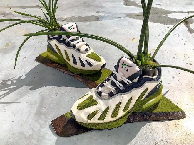 BST cây cảnh trồng trong giày khiến mọi sneakerhead phải suýt xoa ngưỡng mộ - Ảnh 3.