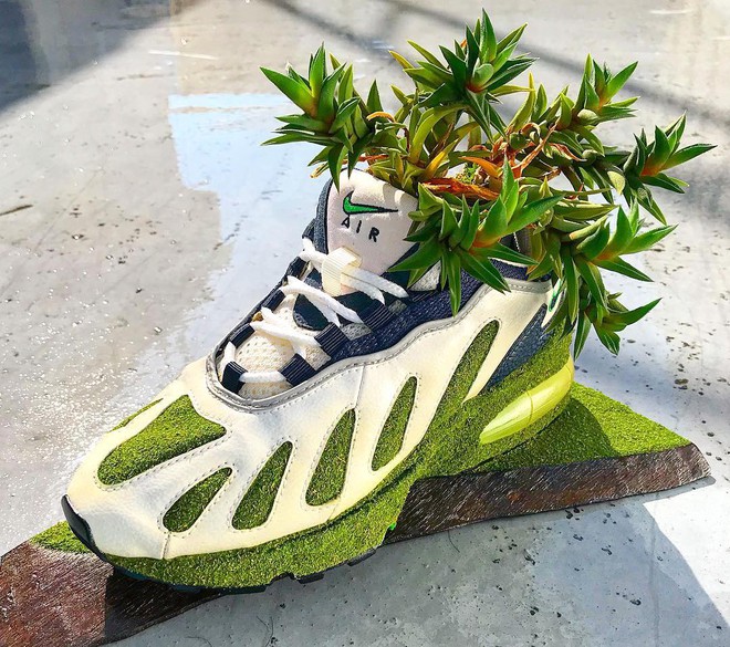 BST cây cảnh trồng trong giày khiến mọi sneakerhead phải suýt xoa ngưỡng mộ - Ảnh 4.