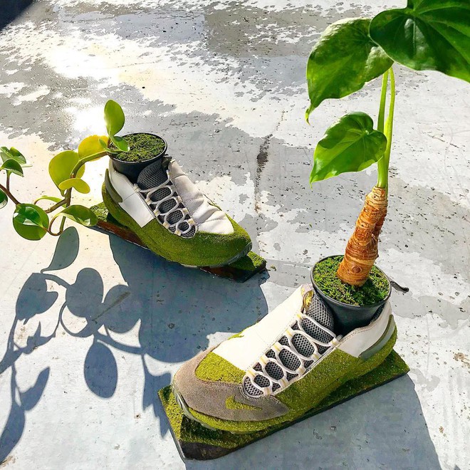 BST cây cảnh trồng trong giày khiến mọi sneakerhead phải suýt xoa ngưỡng mộ - Ảnh 5.