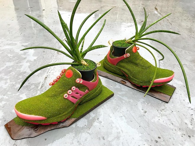 BST cây cảnh trồng trong giày khiến mọi sneakerhead phải suýt xoa ngưỡng mộ - Ảnh 7.