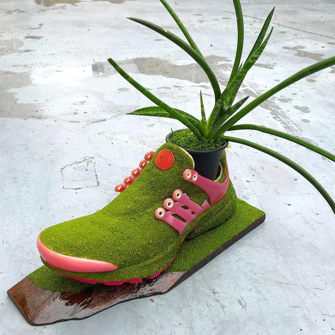 BST cây cảnh trồng trong giày khiến mọi sneakerhead phải suýt xoa ngưỡng mộ - Ảnh 8.