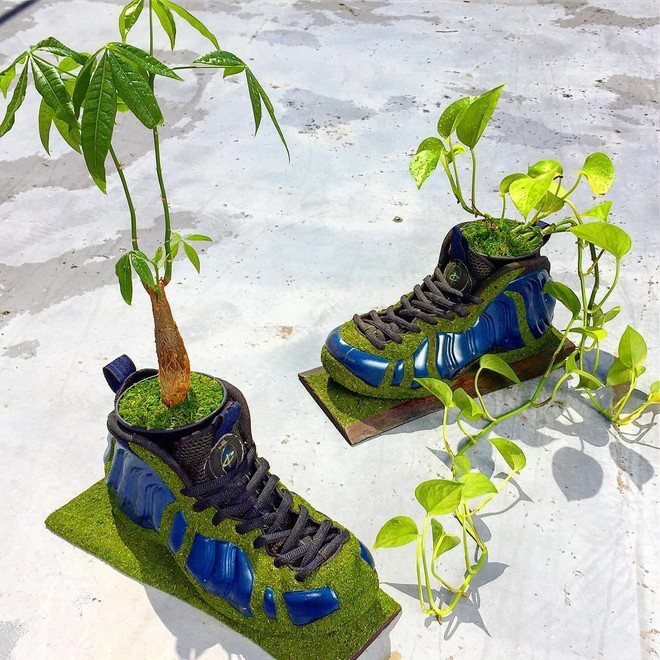 BST cây cảnh trồng trong giày khiến mọi sneakerhead phải suýt xoa ngưỡng mộ - Ảnh 9.