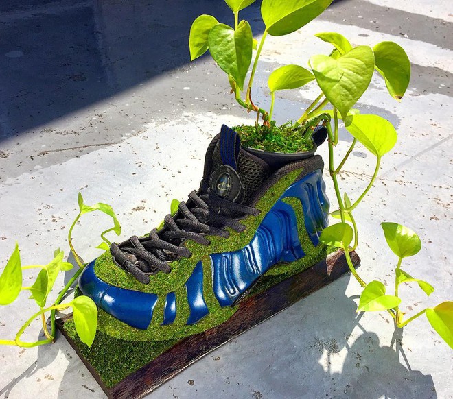 BST cây cảnh trồng trong giày khiến mọi sneakerhead phải suýt xoa ngưỡng mộ - Ảnh 10.