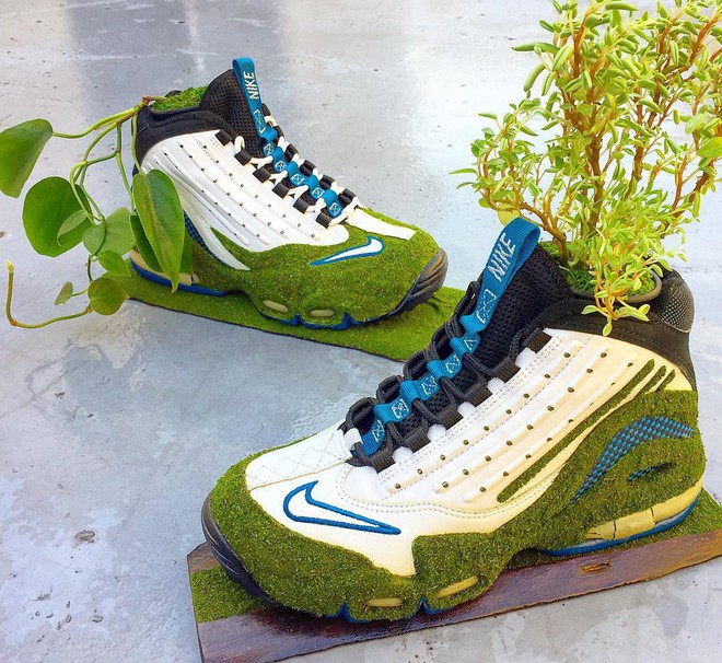 BST cây cảnh trồng trong giày khiến mọi sneakerhead phải suýt xoa ngưỡng mộ - Ảnh 13.