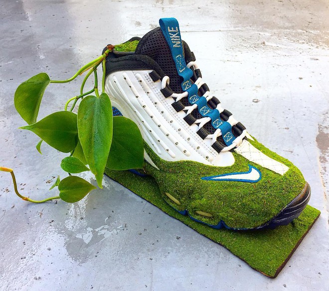 BST cây cảnh trồng trong giày khiến mọi sneakerhead phải suýt xoa ngưỡng mộ - Ảnh 14.