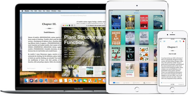 Bên trong nỗ lực của Apple nhằm đưa ứng dụng iOS sang máy Mac - Ảnh 1.