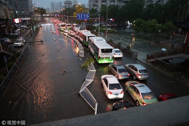 Trung Quốc: Bão lớn khiến hải sản tươi sống trút xuống như mưa trên đường phố - Ảnh 7.