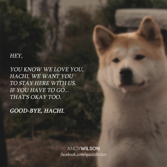 “Hachi: A Dog’s Tale”: Một chú chó có thể dạy bạn những gì, về tình yêu? - Ảnh 8.