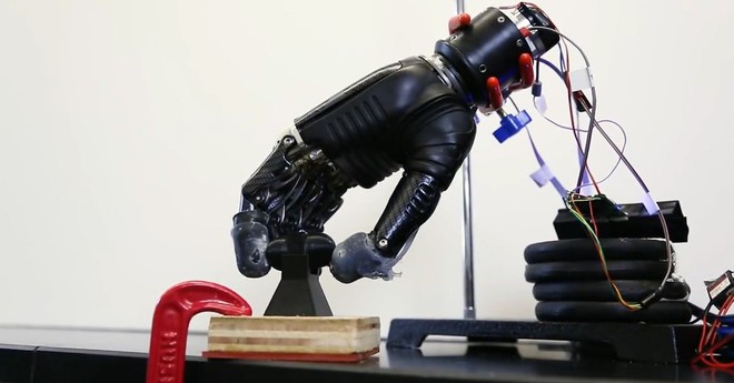 Cánh tay robot biết đau và phản xạ vô điều kiện nhờ da điện tử - Ảnh 4.