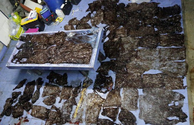 Cá voi ở Thái Lan chết đói vì ăn phải 8kg rác thải nhựa - Ảnh 4.