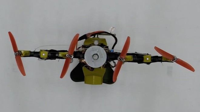 Nghiên cứu thành công robot có thể gập cánh khi bay qua không gian hẹp lấy ý tưởng từ đôi cánh của loài chim - Ảnh 2.