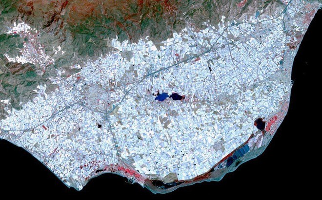 Ở Tây Ban Nha, có một khu vực nhà kính trồng cây san sát rộng 200 km vuông, nhìn thấy được từ quỹ đạo, cung cấp rau quả cho toàn bộ Châu Âu - Ảnh 4.